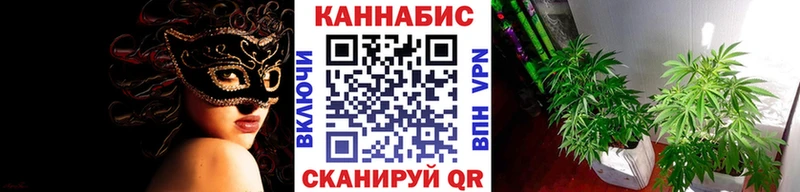 наркошоп  Юрьев-Польский  Конопля марихуана 